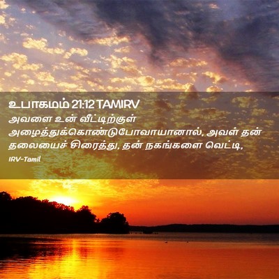 Picture 02 - உபாகமம் 21:12 TAMIRV - அவளை உன் - Bible Verse Picture