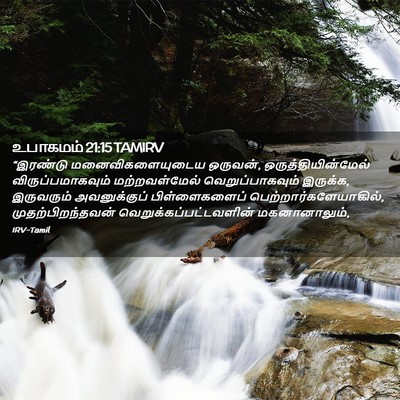 Picture 02 - உபாகமம் 21:15 TAMIRV - “இரண்டு - Bible Verse Picture