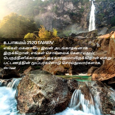 Picture 02 - உபாகமம் 21:20 TAMIRV - எங்கள் மகனாகிய - Bible Verse Picture