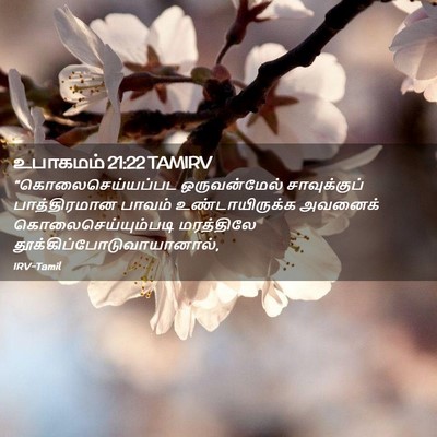 Picture 02 - உபாகமம் 21:22 TAMIRV - “கொலைசெய்யப்பட - Bible Verse Picture