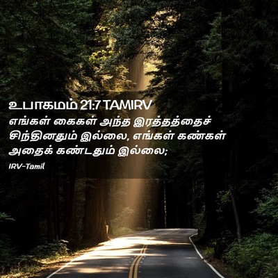 Picture 02 - உபாகமம் 21:7 TAMIRV - எங்கள் கைகள் அந்த - Bible Verse Picture