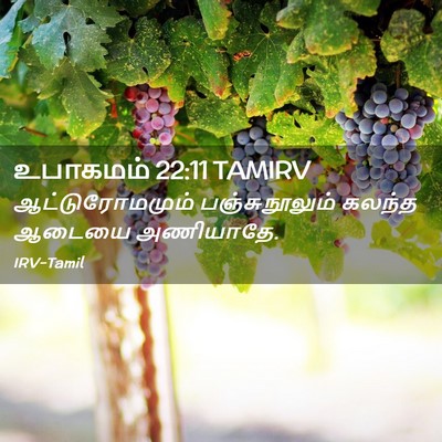 Picture 02 - உபாகமம் 22:11 TAMIRV - ஆட்டுரோமமும் - Bible Verse Picture