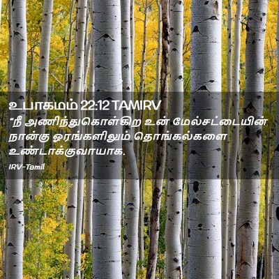 Picture 02 - உபாகமம் 22:12 TAMIRV - “நீ - Bible Verse Picture