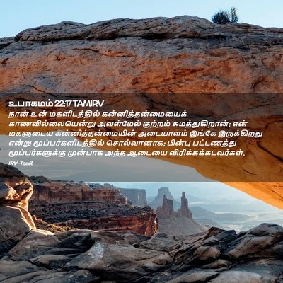 Picture 02 - உபாகமம் 22:17 TAMIRV - நான் உன் - Bible Verse Picture