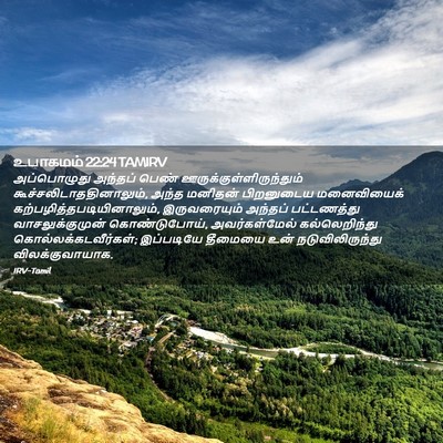 Picture 02 - உபாகமம் 22:24 TAMIRV - அப்பொழுது அந்தப் - Bible Verse Picture