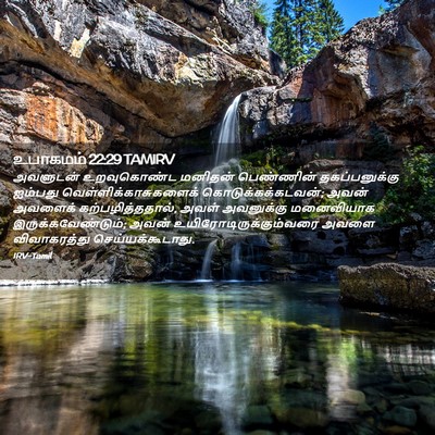Picture 02 - உபாகமம் 22:29 TAMIRV - அவளுடன் உறவுகொண்ட - Bible Verse Picture