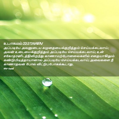 Picture 02 - உபாகமம் 22:3 TAMIRV - அப்படியே அவனுடைய - Bible Verse Picture