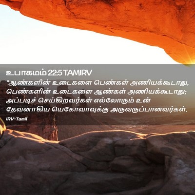Picture 02 - உபாகமம் 22:5 TAMIRV - “ஆண்களின் உடைகளை - Bible Verse Picture