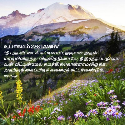 Picture 02 - உபாகமம் 22:8 TAMIRV - “நீ புது வீட்டைக் - Bible Verse Picture