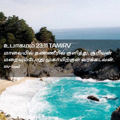 Picture 02 - உபாகமம் 23:11 TAMIRV - மாலையில் - Bible Verse Picture