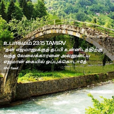 Picture 02 - உபாகமம் 23:15 TAMIRV - “தன் எஜமானுக்குத் - Bible Verse Picture