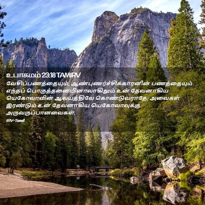 Picture 02 - உபாகமம் 23:18 TAMIRV - வேசிப்பணத்தையும், - Bible Verse Picture
