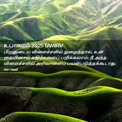 Picture 02 - உபாகமம் 23:25 TAMIRV - பிறனுடைய - Bible Verse Picture