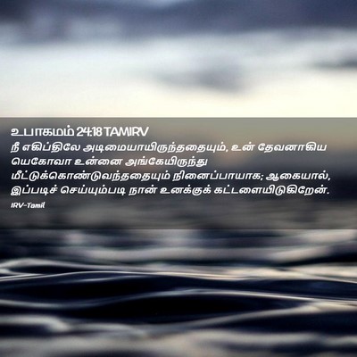 Picture 02 - உபாகமம் 24:18 TAMIRV - நீ எகிப்திலே - Bible Verse Picture