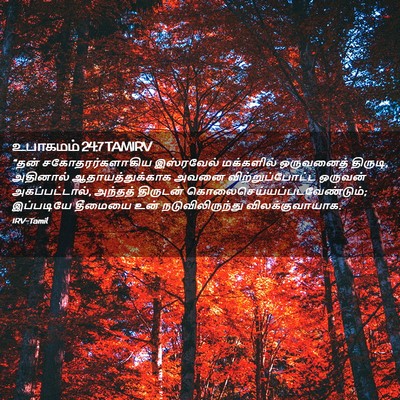 Picture 02 - உபாகமம் 24:7 TAMIRV - “தன் - Bible Verse Picture
