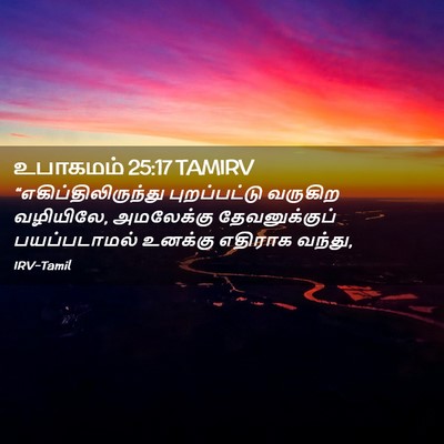 Picture 02 - உபாகமம் 25:17 TAMIRV - “எகிப்திலிருந்து - Bible Verse Picture