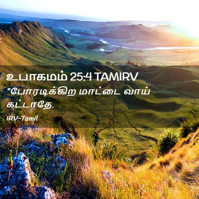 Picture 02 - உபாகமம் 25:4 TAMIRV - “போரடிக்கிற - Bible Verse Picture