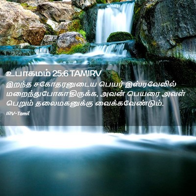 Picture 02 - உபாகமம் 25:6 TAMIRV - இறந்த சகோதரனுடைய - Bible Verse Picture