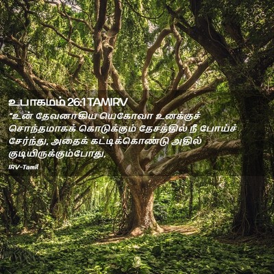 Picture 02 - உபாகமம் 26:1 TAMIRV - “உன் தேவனாகிய - Bible Verse Picture