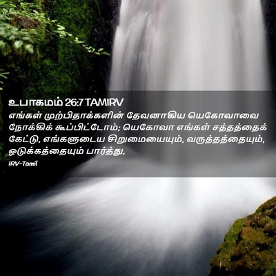 Picture 02 - உபாகமம் 26:7 TAMIRV - எங்கள் - Bible Verse Picture