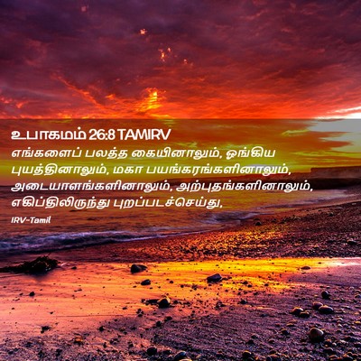 Picture 02 - உபாகமம் 26:8 TAMIRV - எங்களைப் பலத்த - Bible Verse Picture