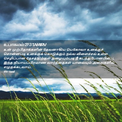 Picture 02 - உபாகமம் 27:3 TAMIRV - உன் - Bible Verse Picture