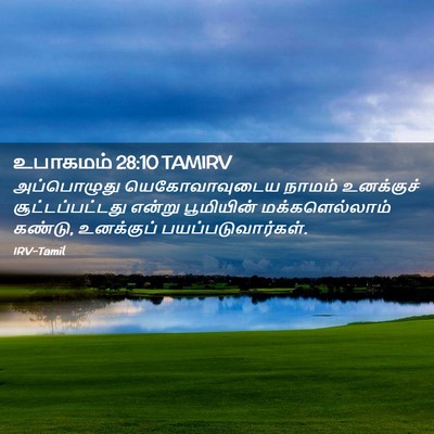 Picture 02 - உபாகமம் 28:10 TAMIRV - அப்பொழுது - Bible Verse Picture