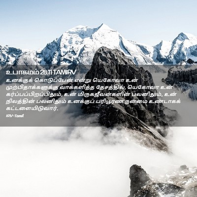Picture 02 - உபாகமம் 28:11 TAMIRV - உனக்குக் - Bible Verse Picture