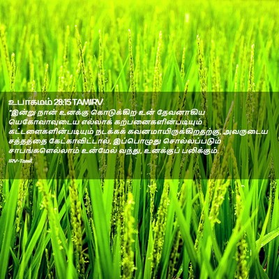 Picture 02 - உபாகமம் 28:15 TAMIRV - “இன்று நான் - Bible Verse Picture