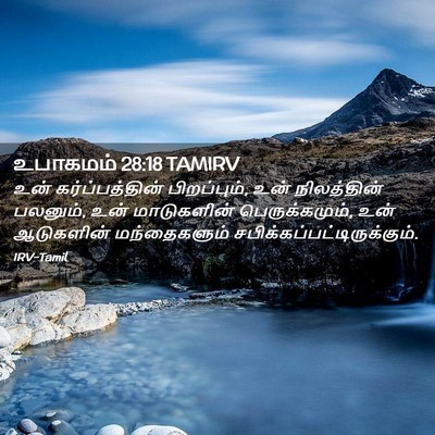 Picture 02 - உபாகமம் 28:18 TAMIRV - உன் கர்ப்பத்தின் - Bible Verse Picture