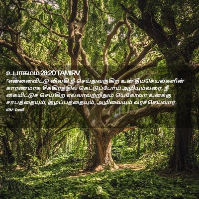Picture 02 - உபாகமம் 28:20 TAMIRV - “என்னைவிட்டு - Bible Verse Picture