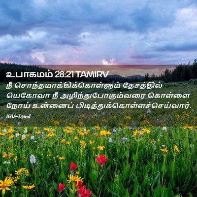 Picture 02 - உபாகமம் 28:21 TAMIRV - நீ - Bible Verse Picture