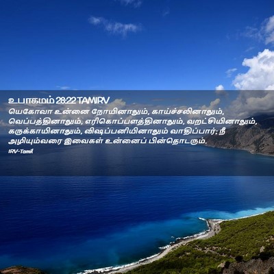 Picture 02 - உபாகமம் 28:22 TAMIRV - யெகோவா உன்னை - Bible Verse Picture