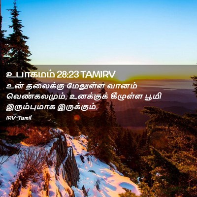 Picture 02 - உபாகமம் 28:23 TAMIRV - உன் தலைக்கு - Bible Verse Picture