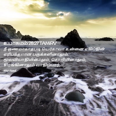 Picture 02 - உபாகமம் 28:27 TAMIRV - நீ குணமாகாதபடி - Bible Verse Picture