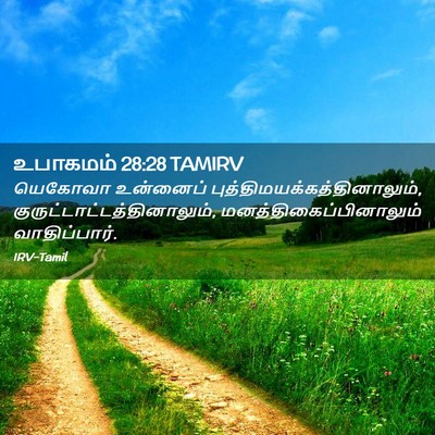Picture 02 - உபாகமம் 28:28 TAMIRV - யெகோவா உன்னைப் - Bible Verse Picture