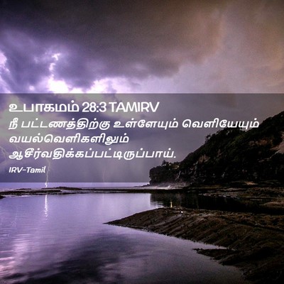 Picture 02 - உபாகமம் 28:3 TAMIRV - நீ பட்டணத்திற்கு - Bible Verse Picture