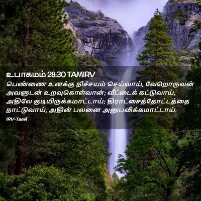 Picture 02 - உபாகமம் 28:30 TAMIRV - பெண்ணை உனக்கு - Bible Verse Picture
