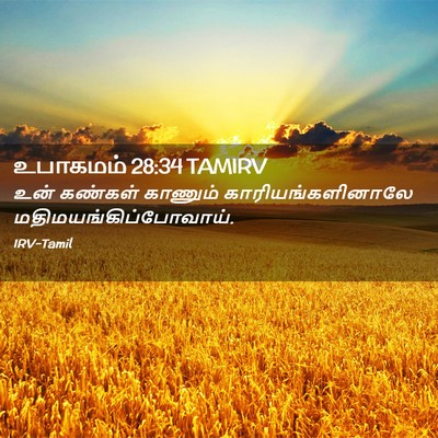 Picture 02 - உபாகமம் 28:34 TAMIRV - உன் கண்கள் காணும் - Bible Verse Picture