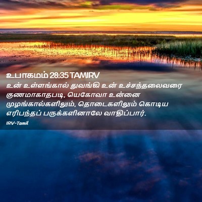 Picture 02 - உபாகமம் 28:35 TAMIRV - உன் உள்ளங்கால் - Bible Verse Picture