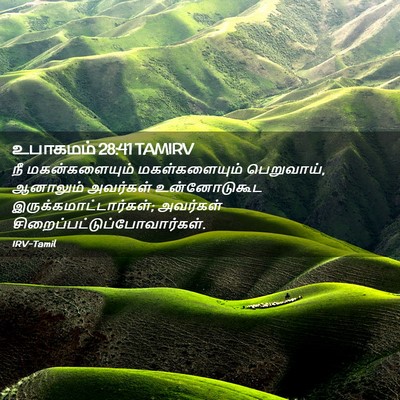 Picture 02 - உபாகமம் 28:41 TAMIRV - நீ மகன்களையும் - Bible Verse Picture