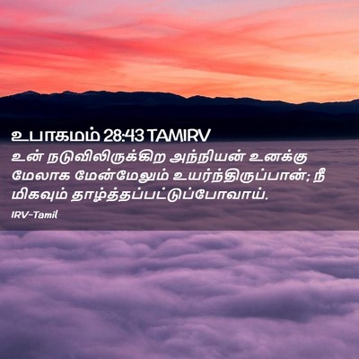 Picture 02 - உபாகமம் 28:43 TAMIRV - உன் - Bible Verse Picture