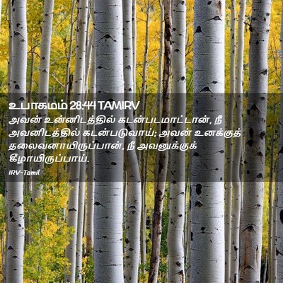 Picture 02 - உபாகமம் 28:44 TAMIRV - அவன் உன்னிடத்தில் - Bible Verse Picture