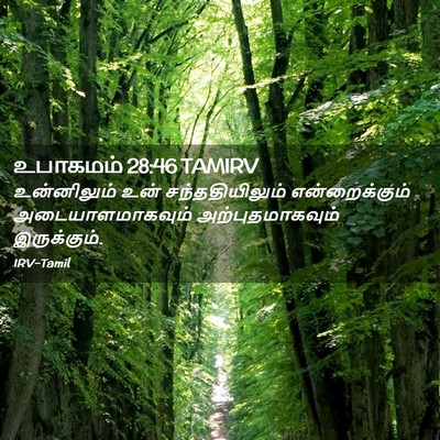 Picture 02 - உபாகமம் 28:46 TAMIRV - உன்னிலும் உன் - Bible Verse Picture