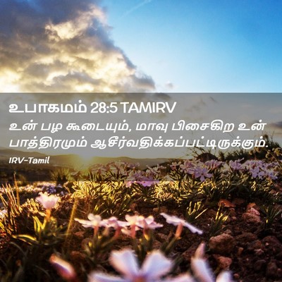 Picture 02 - உபாகமம் 28:5 TAMIRV - உன் பழ கூடையும், - Bible Verse Picture