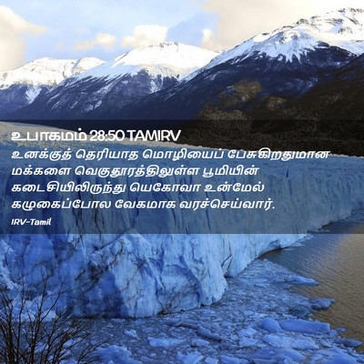 Picture 02 - உபாகமம் 28:50 TAMIRV - உனக்குத் தெரியாத - Bible Verse Picture