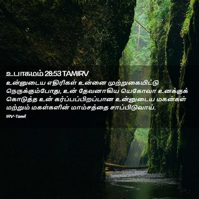 Picture 02 - உபாகமம் 28:53 TAMIRV - உன்னுடைய எதிரிகள் - Bible Verse Picture