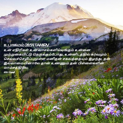 Picture 02 - உபாகமம் 28:54 TAMIRV - உன் எதிரிகள் உன் - Bible Verse Picture