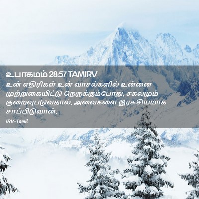 Picture 02 - உபாகமம் 28:57 TAMIRV - உன் எதிரிகள் உன் - Bible Verse Picture