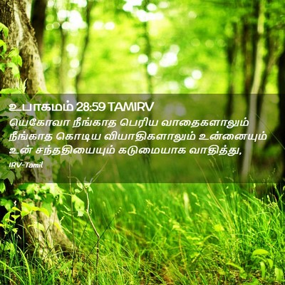 Picture 02 - உபாகமம் 28:59 TAMIRV - யெகோவா நீங்காத - Bible Verse Picture